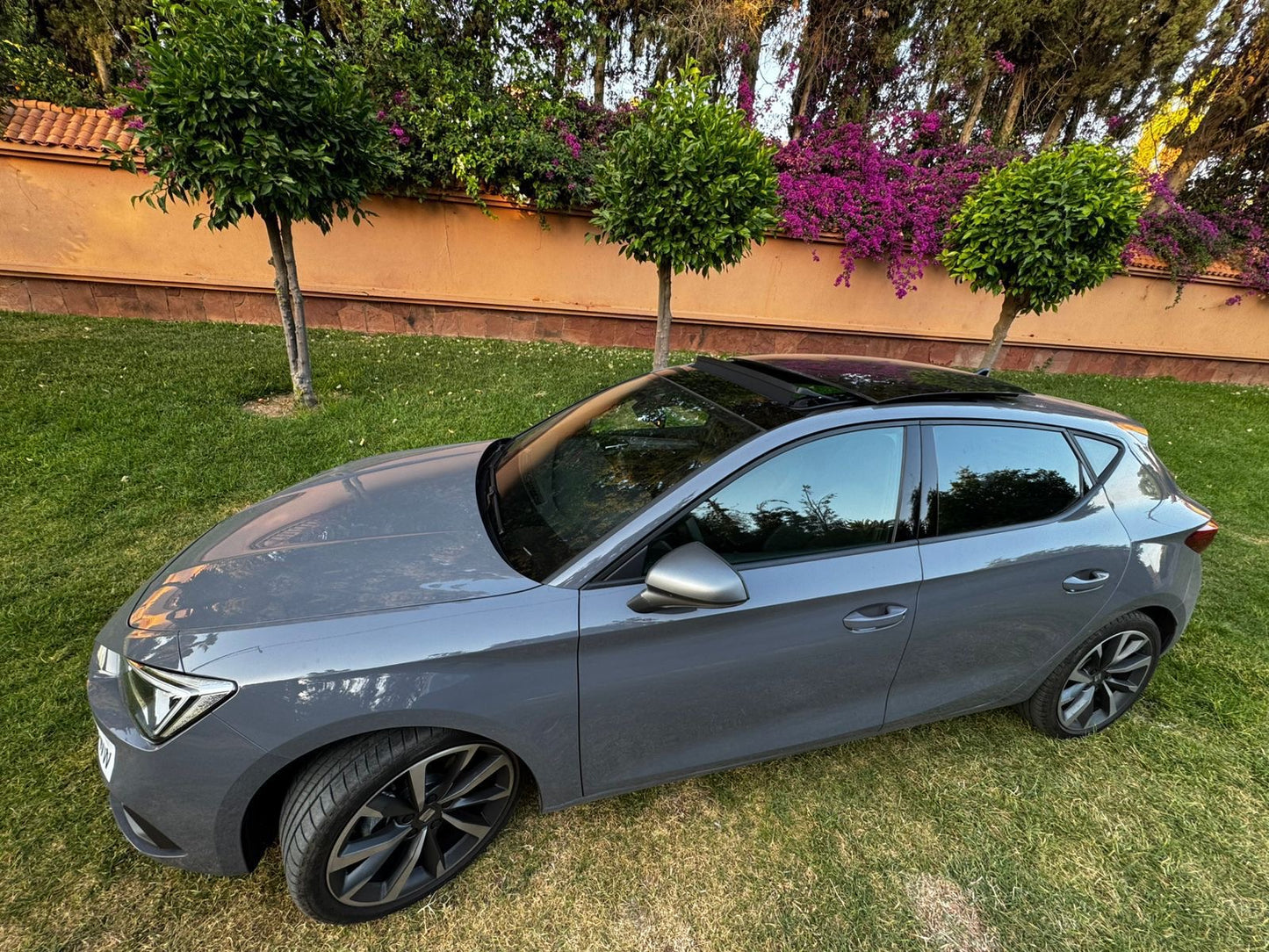 Seat leon