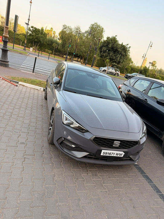 Seat leon