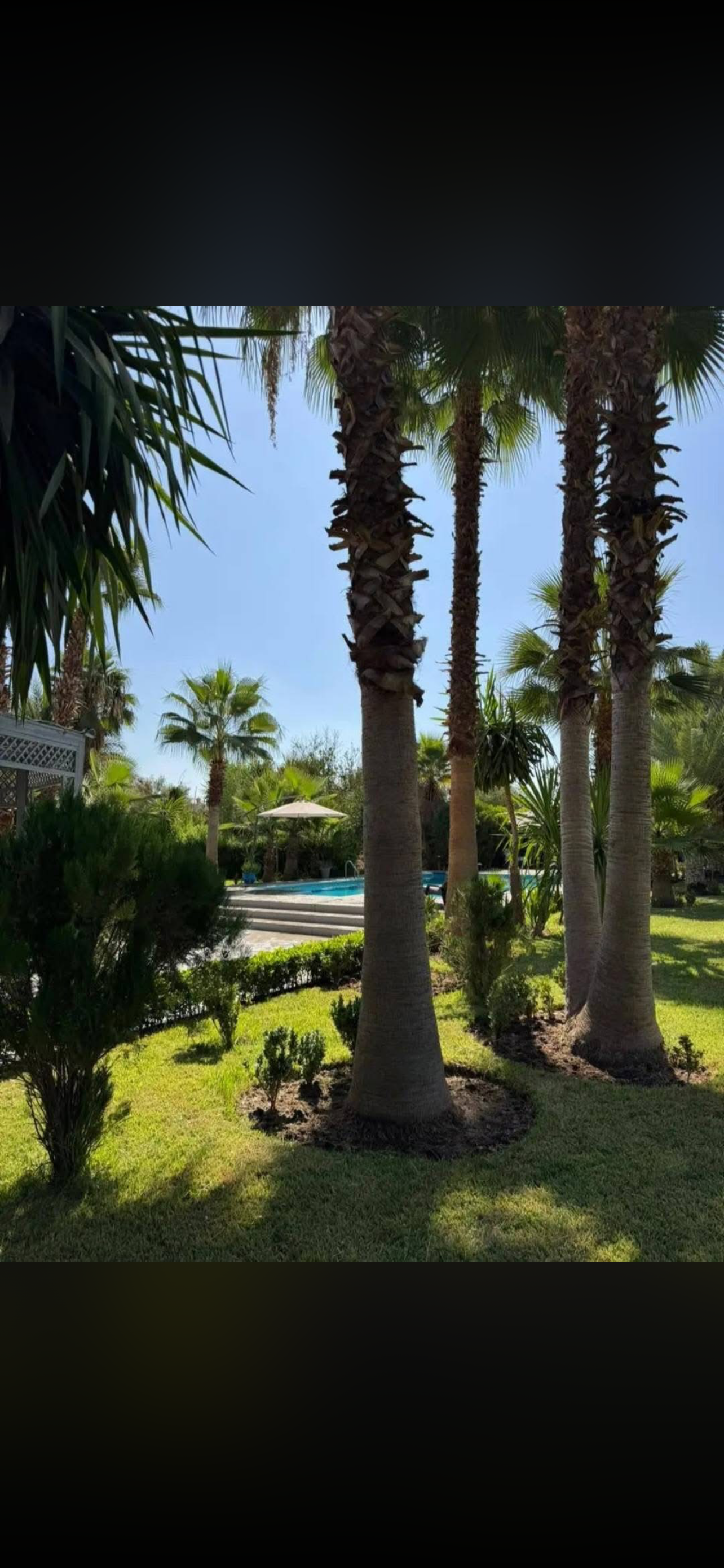 Villa 5 suite